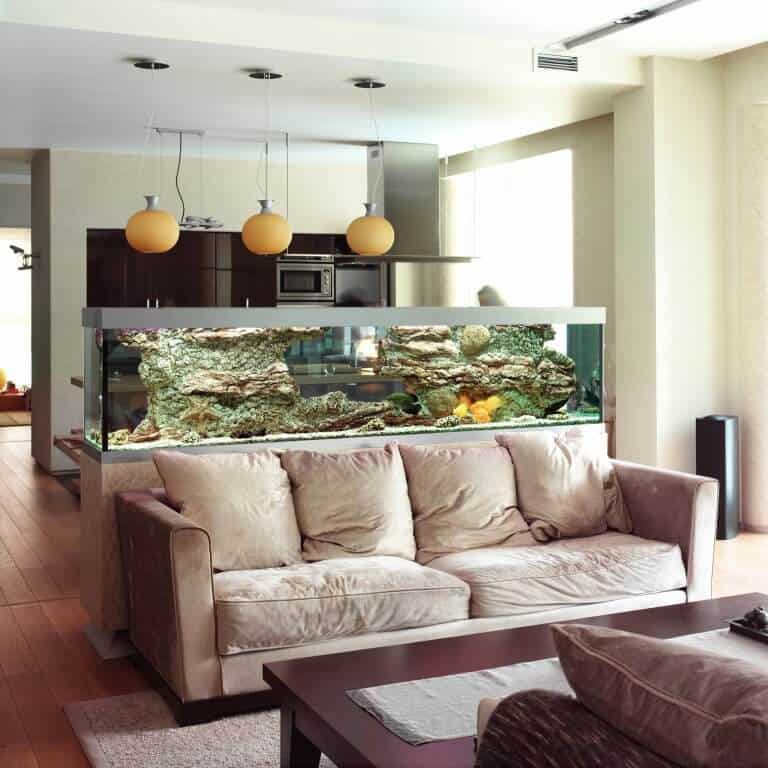 what-size-fish-tank-should-i-get-aquarium-buying-tips