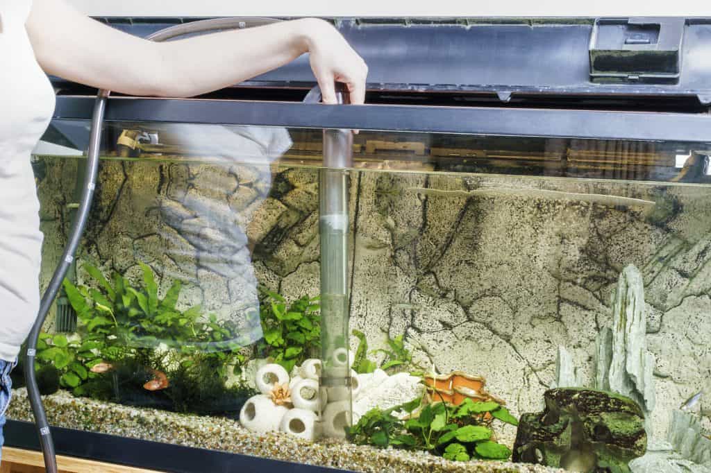 best self cleaning aquariums