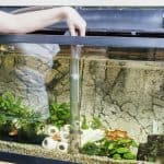 best self cleaning aquariums