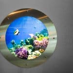 best wall mounted aquarium