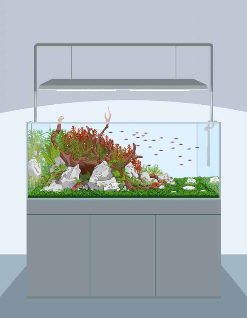 best 55 gallon fish tank stand