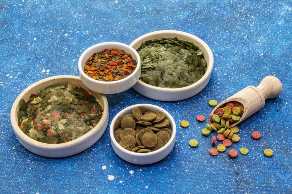 Assorted different types of food for aquarium fish. Flakes, spirulina, pills, mixture. Navy blue sea background, close up