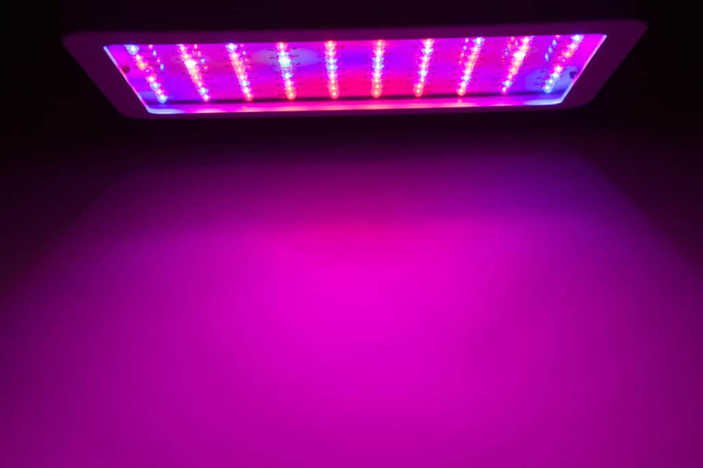 uv light