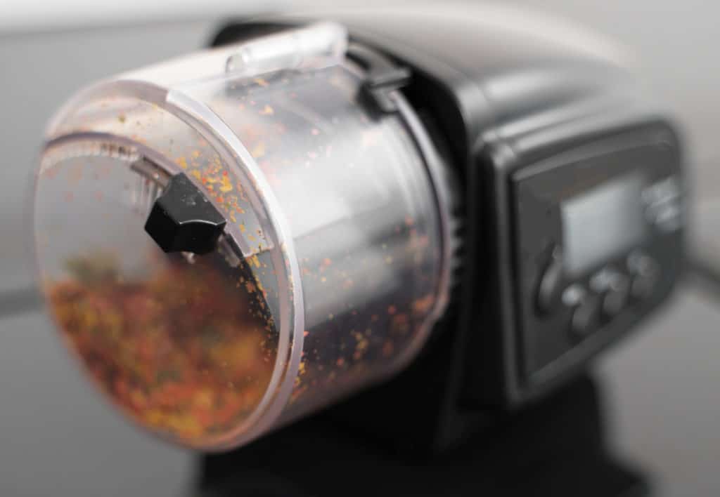 Close-up view of automatic fish feeder.