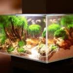 Pet shop aquarium