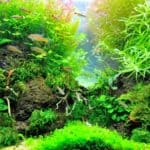 aquarium