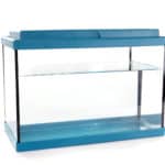 aquarium