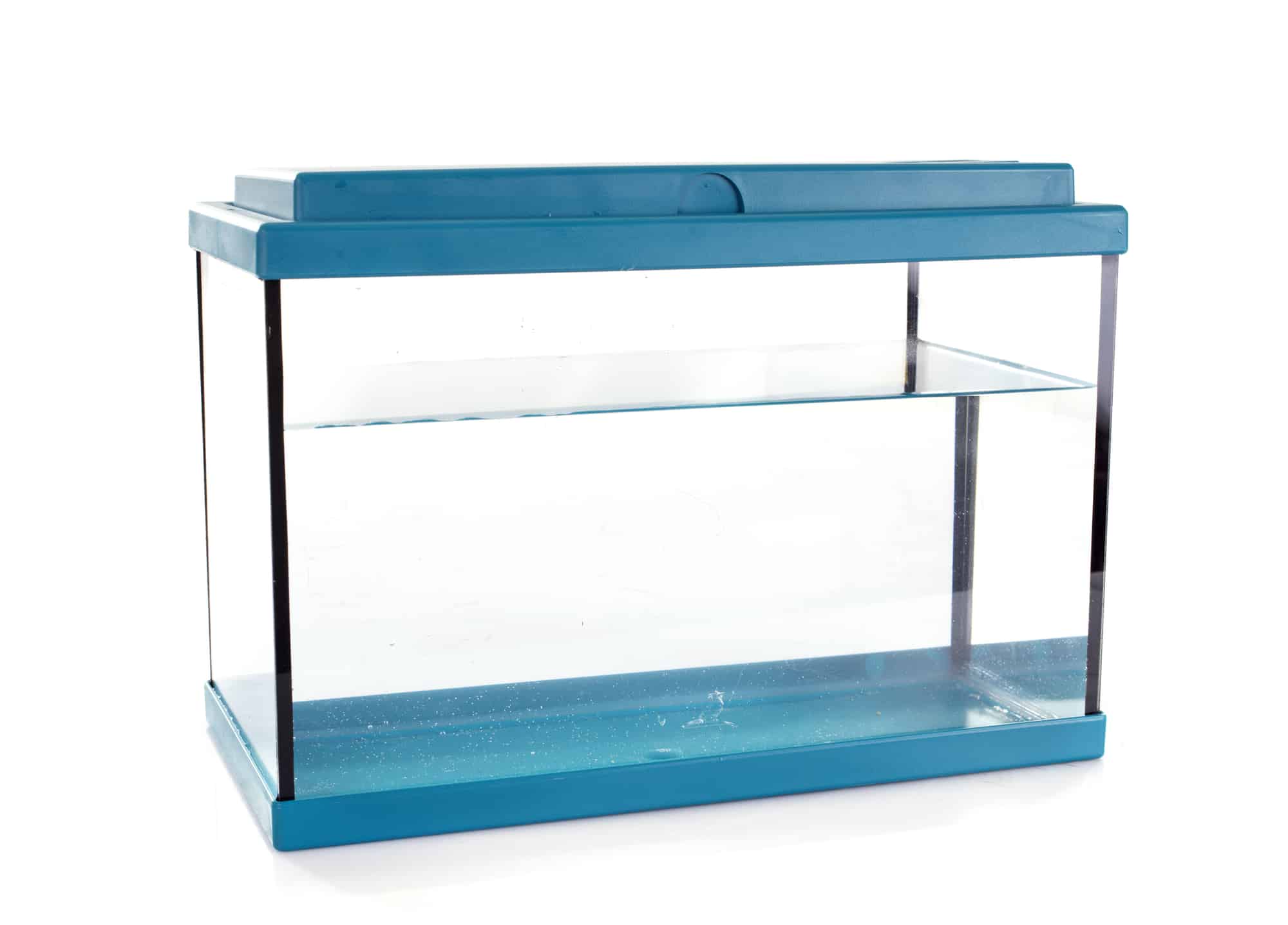 How Long Does Water Need To Sit To Dechlorinate? (What To Know)
