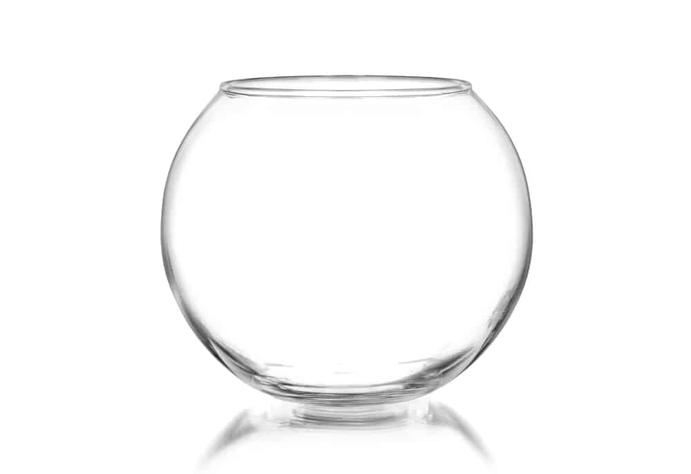 Empty fishbowl