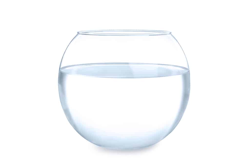 Glass fish bowl with clear water