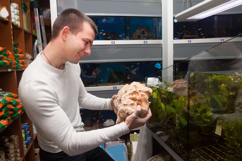 Young man smiling and watching seashells for aquarium