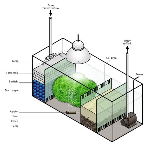 Aquarium Sump