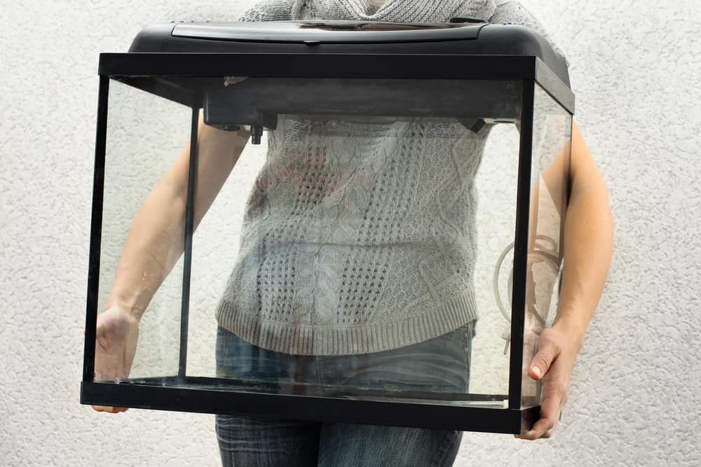 woman holding empty aquarium to restart it at home